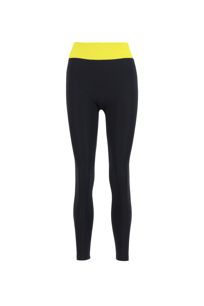 ALEX - ALEX HIGH RISE MULTI COLOR LEGGINGS - 11