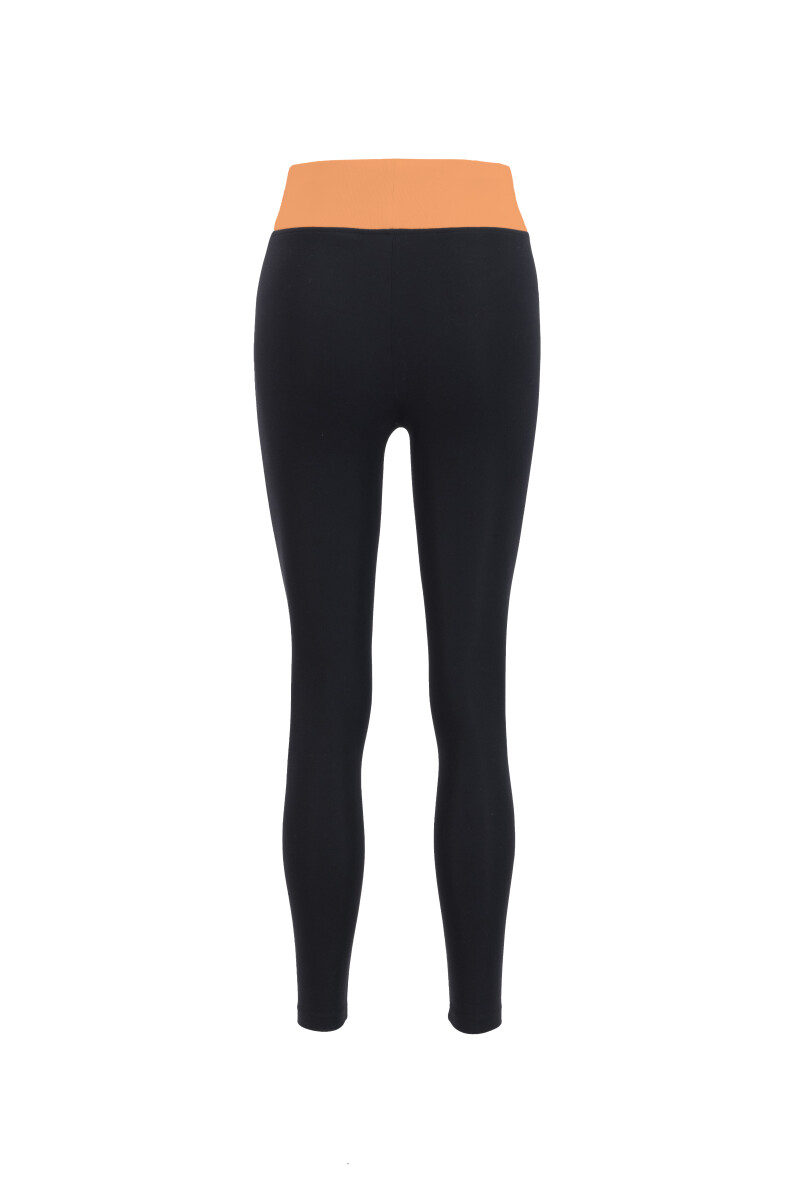 ALEX - ALEX HIGH RISE MULTI COLOR LEGGINGS - 2