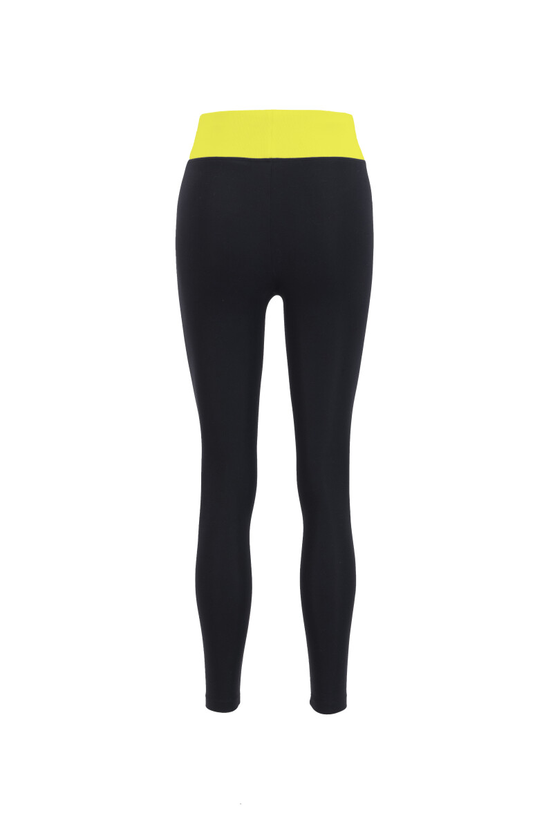 ALEX - ALEX HIGH RISE MULTI COLOR LEGGINGS - 12