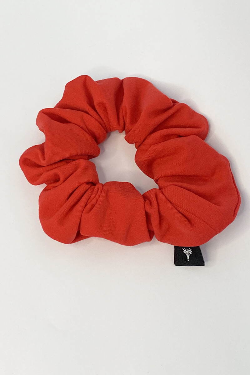 FRANCESCA - LÖSEV - 1